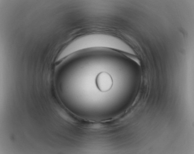 X0000114690409200910211316