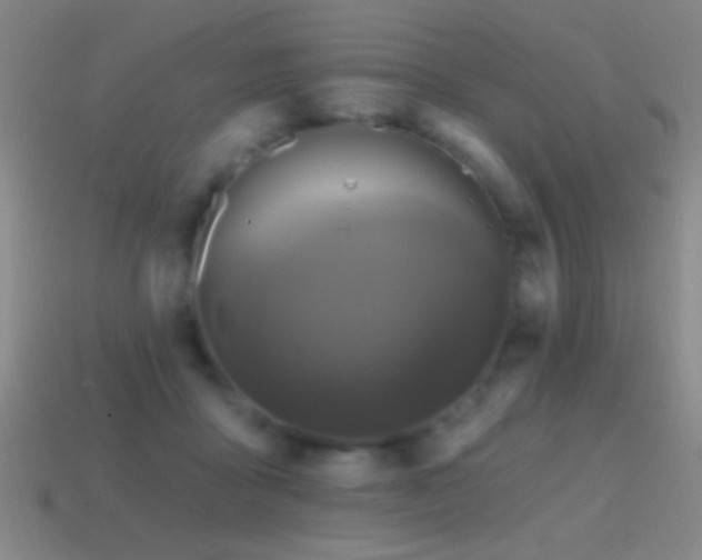 X0000114690411200910211316