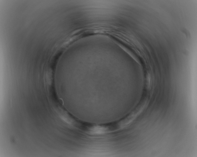 X0000114690413200910211316
