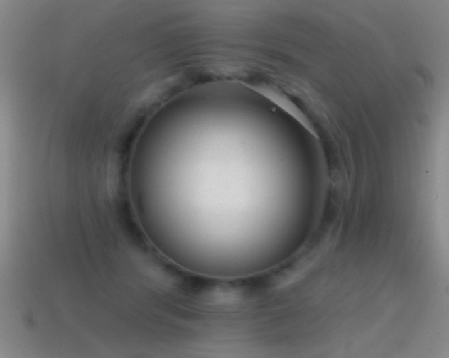X0000114690416200910211316