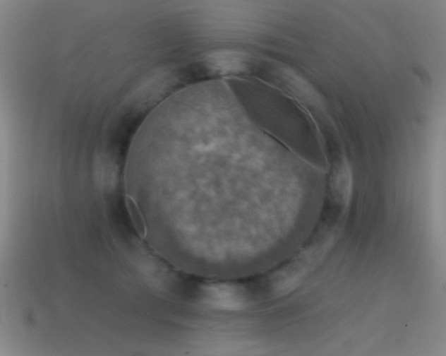 X0000114690417200910211316