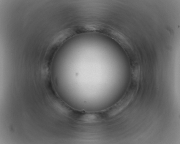 X0000114690418200910211316