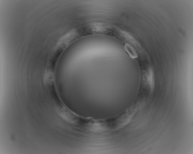 X0000114690419200910211316