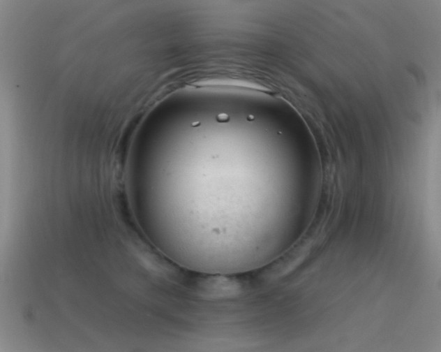 X0000114690421200910211316
