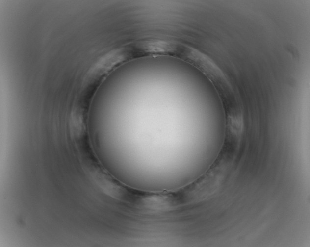 X0000114690422200910211316
