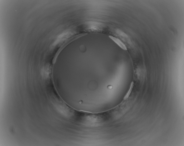 X0000114690423200910211316