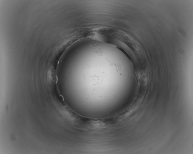 X0000114690424200910211316