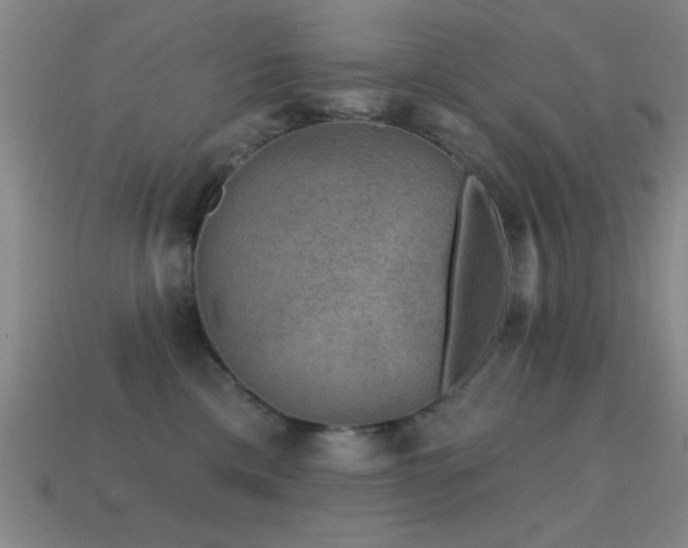 X0000114690425200910211316