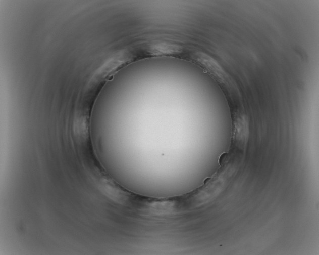X0000114690426200910211316