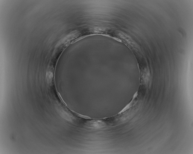 X0000114690427200910211316