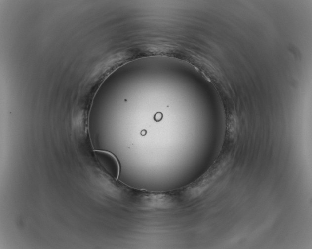 X0000114690428200910211316