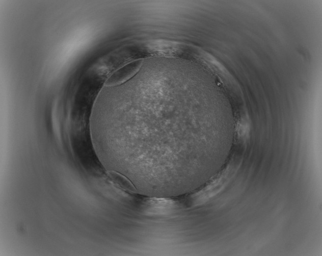X0000114690429200910211316