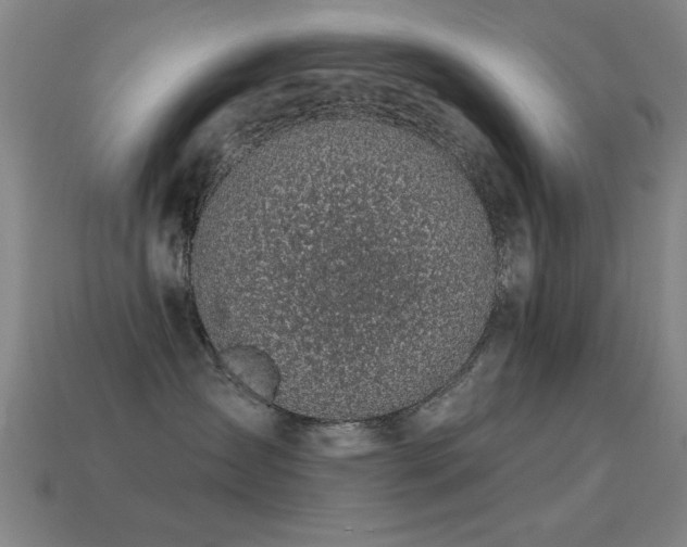 X0000114690431200910211316