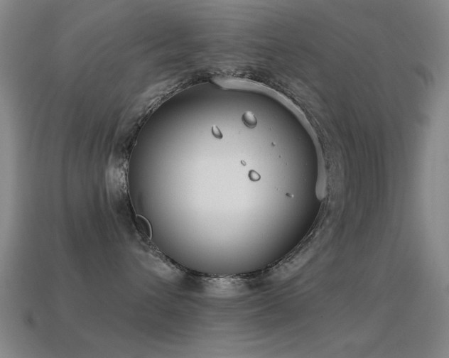 X0000114690432200910211316