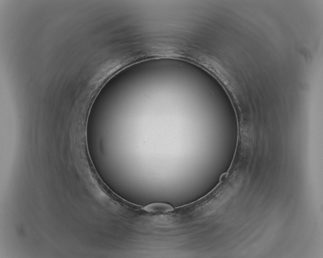X0000114690433200910211315