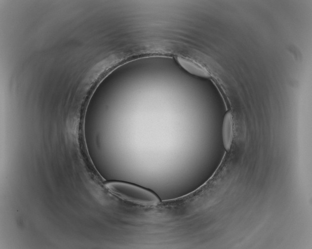 X0000114690434200910211315