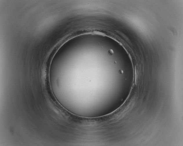X0000114690435200910211315