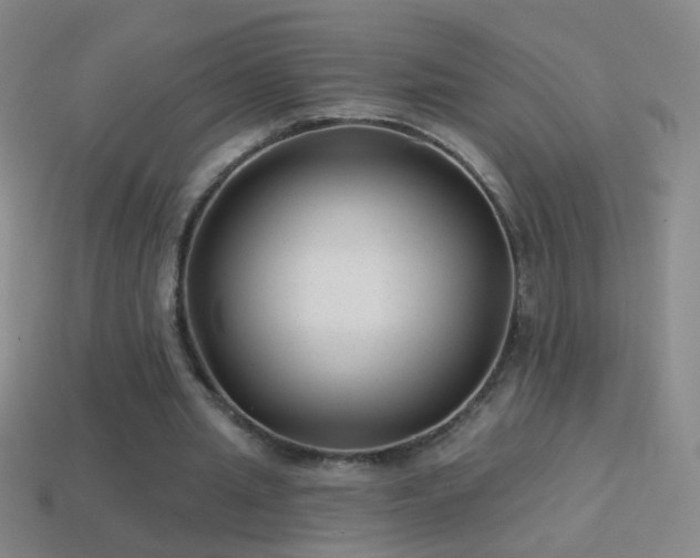 X0000114690437200910211315