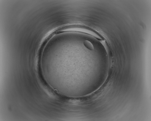 X0000114690440200910211315