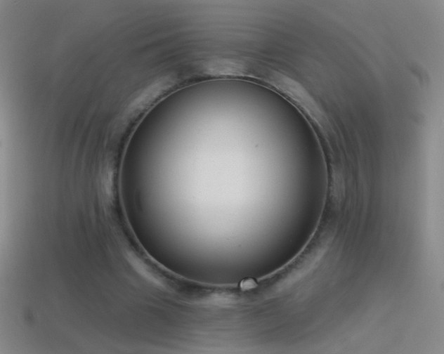 X0000114690441200910211315