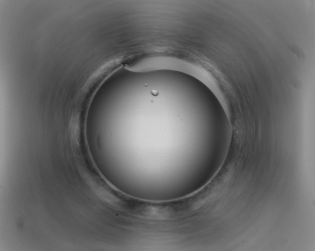 X0000114690442200910211315
