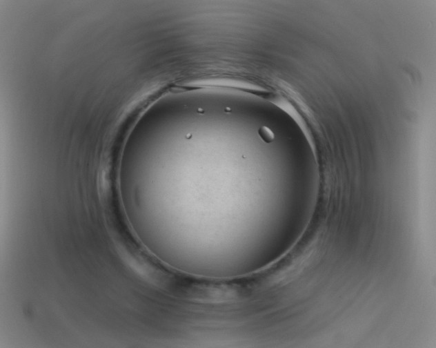 X0000114690443200910211315