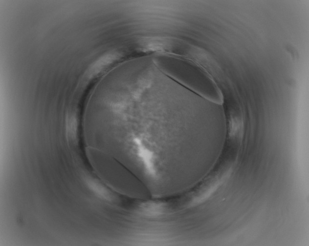 X0000114690444200910211315