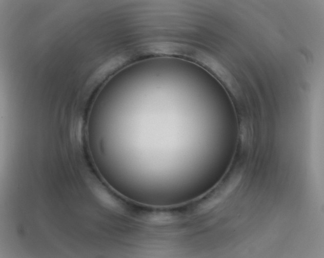 X0000114690445200910211315