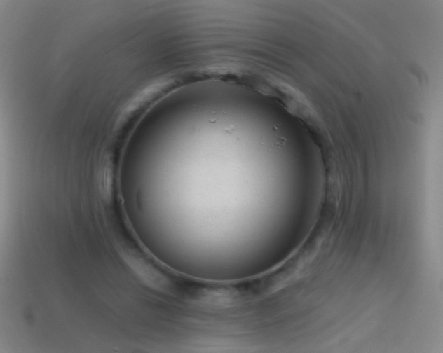 X0000114690446200910211315