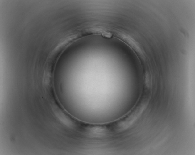 X0000114690449200910211315