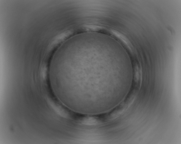 X0000114690451200910211315