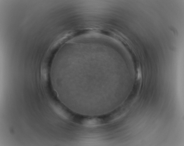 X0000114690452200910211316