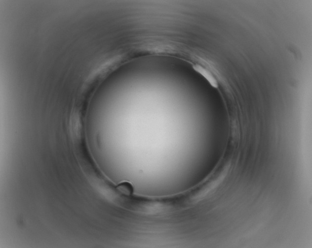 X0000114690453200910211316