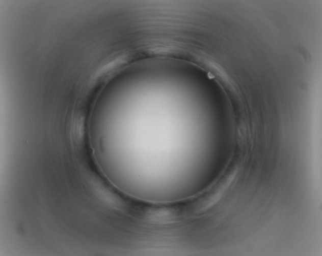 X0000114690454200910211316