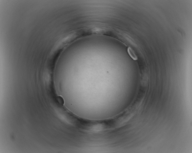 X0000114690456200910211316