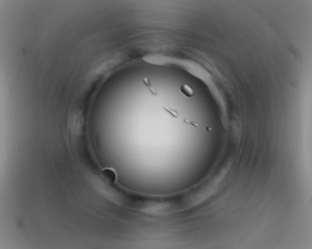 X0000114690458200910211316