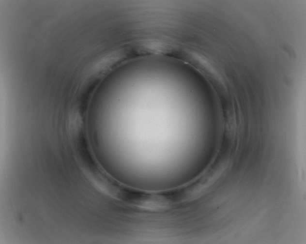 X0000114690459200910211316