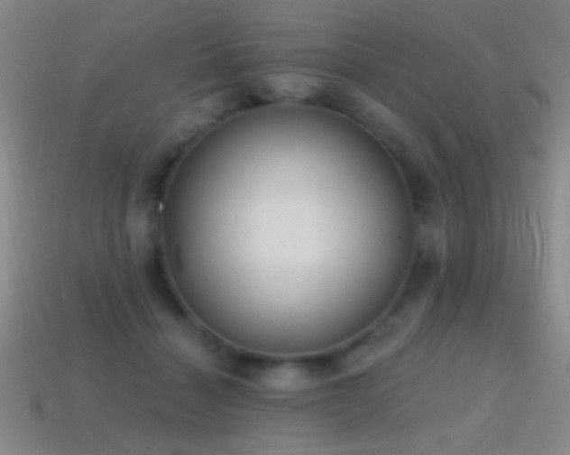 X0000114690460200910211316