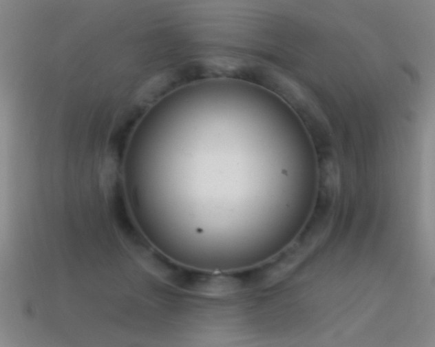 X0000114690463200910211316