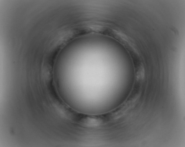 X0000114690464200910211316