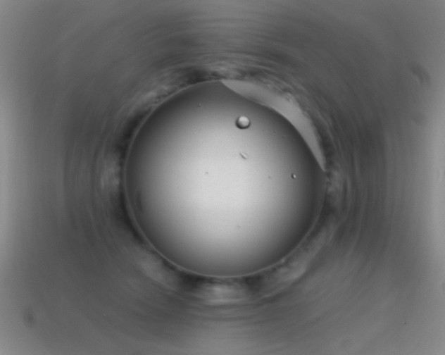X0000114690466200910211316