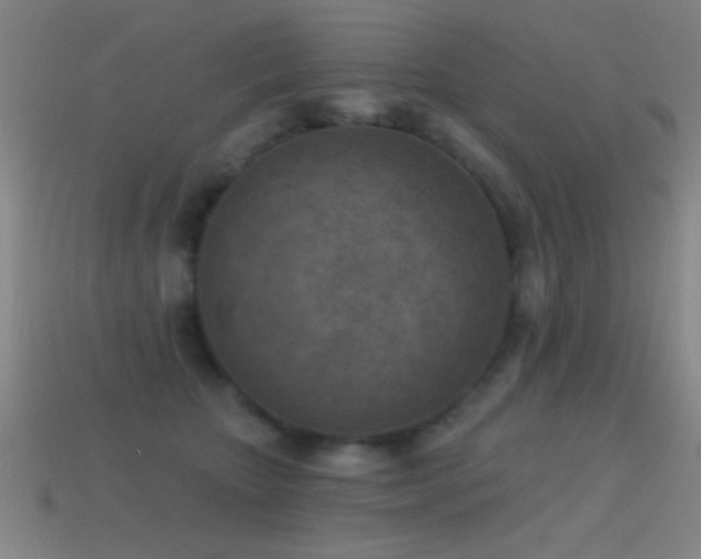 X0000114690467200910211316