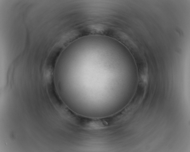 X0000114690468200910211316