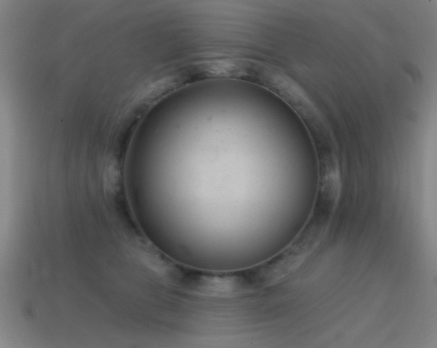 X0000114690469200910211316