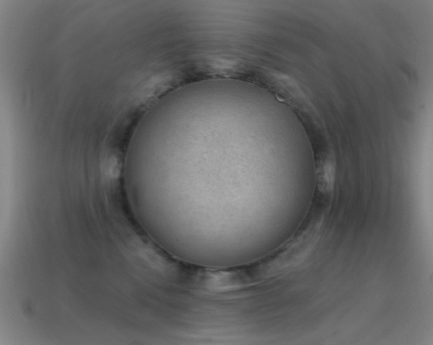 X0000114690472200910211316
