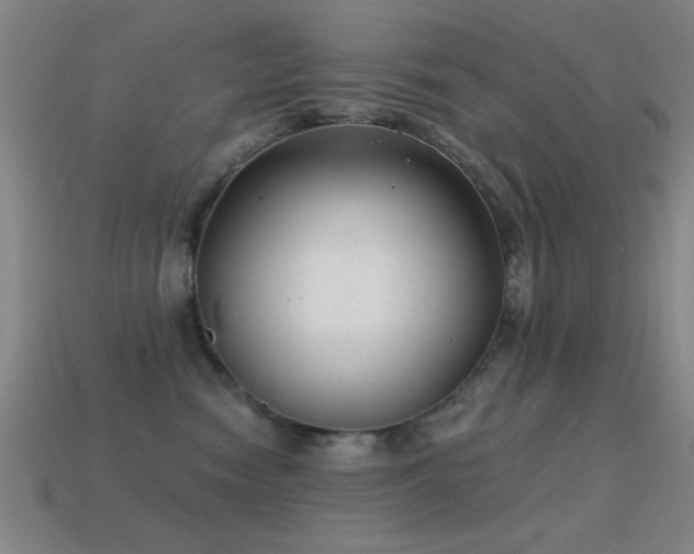 X0000114690474200910211316