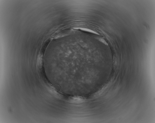 X0000114690475200910211316