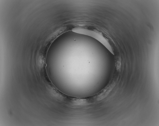X0000114690476200910211316