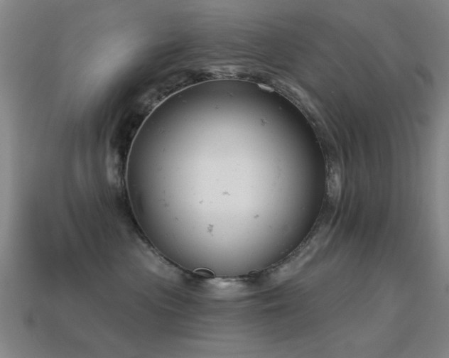 X0000114690477200910211316