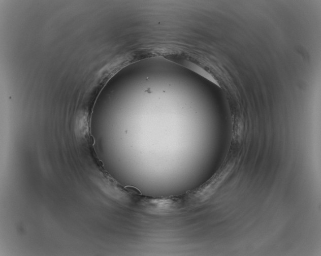 X0000114690478200910211316